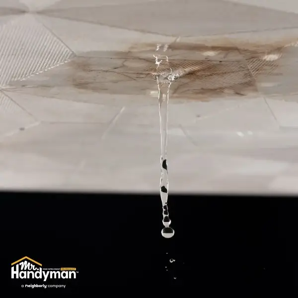 Water damage inspection