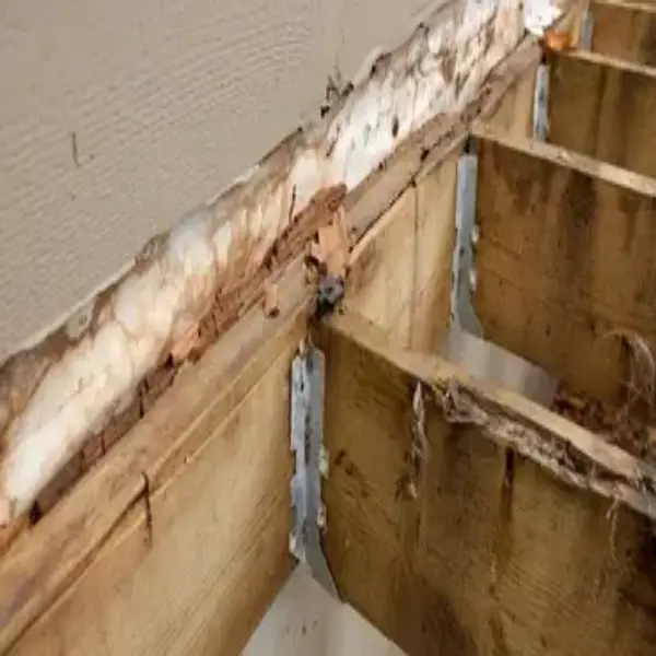 Removing rotting wood plank.