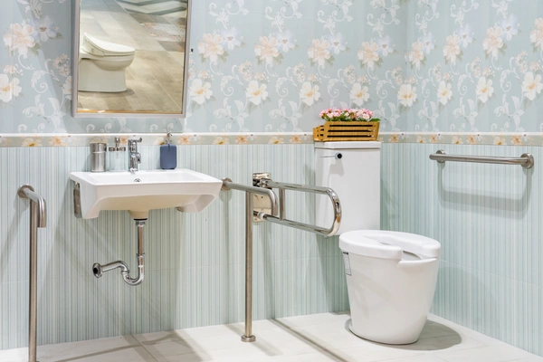 Bathroom modifications toilet.