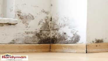 A white wall with a significant amount of mold.