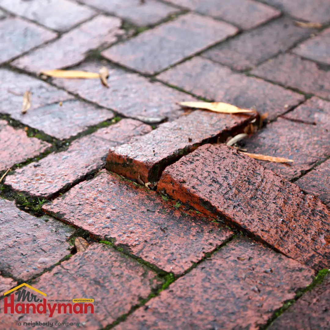 red brick pavement with moss and scattered dried leaves