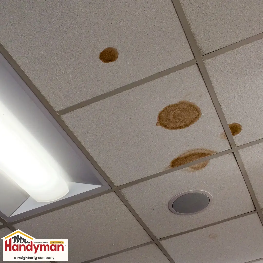 stained ceiling tiles in a commercial space