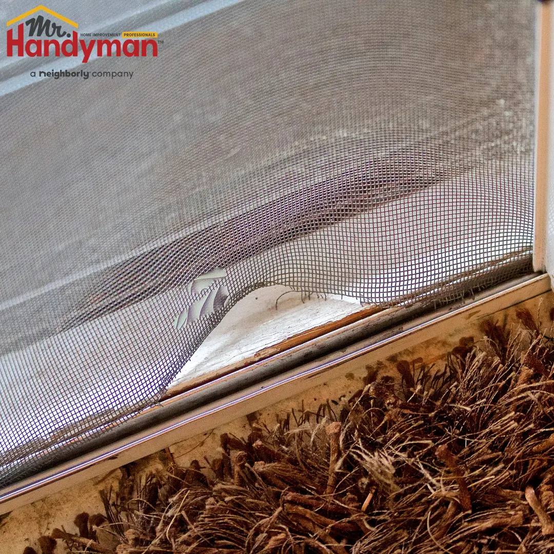Shutter Condition and Repair