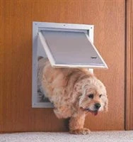 dog using a pet door