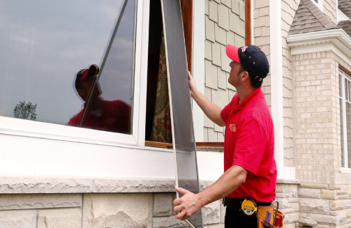  Handyman rendering Window replacement services for residential home