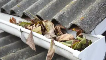 A clogged gutter full of dead leaves and other debris that can be cleared with gutter cleaning service.