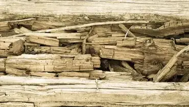 A close-up of an old, rotted, wooden surface in need of wood rot repairs.