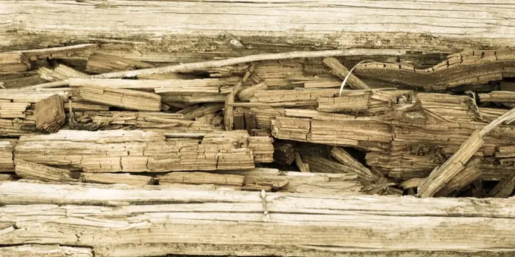A close-up of an old, rotted, wooden surface in need of wood rot repairs.