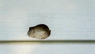 Residential siding with a small hole that can be fixed using professional siding repair services.