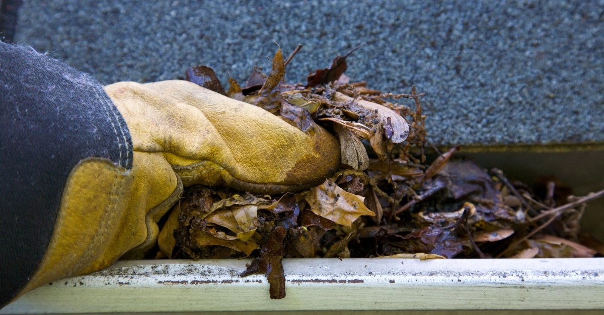 A handyman wearing a yellow glove and pulling wet, rotted leaves out of a home’s gutter during an appointment for gutter cleaning in Brighton, CO.