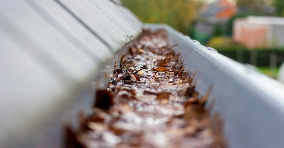 A close-up of gutters along the roof of a home that are clogged with leaves and overdue for gutter cleaning in Flower Mound, TX.