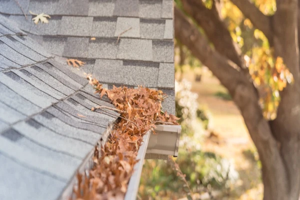 A home’s clogged gutters filled with dried leaves and in need of professional gutter cleaning in McKinney, TX.