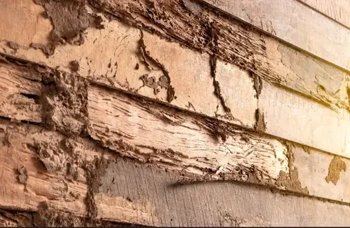 Wooden siding on a home that has deteriorated and is in need of repairs for wood rot in Keller, TX.
