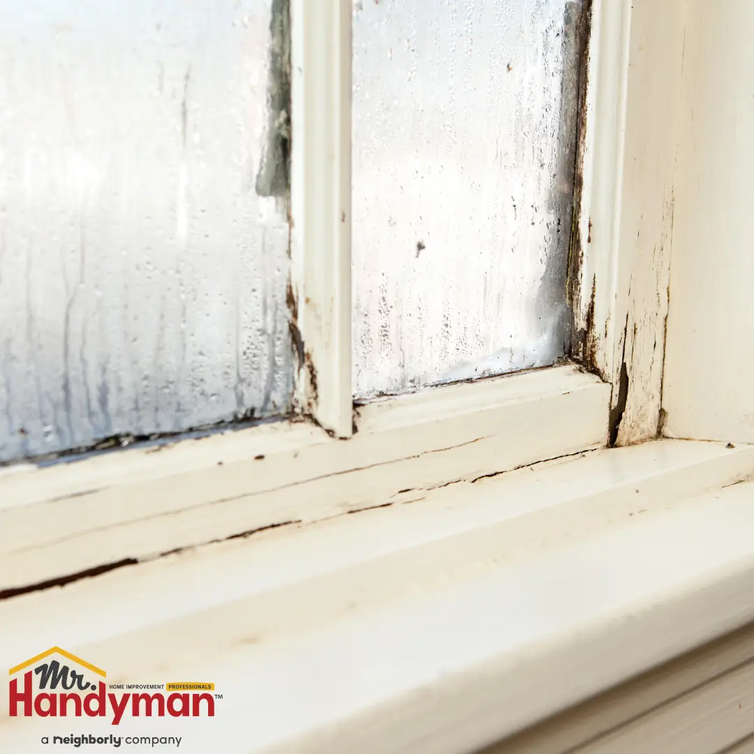 Close-up of a window frame with condensation on glass and visible wood rot and cracks on the sill and edges.