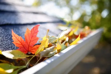 colorful leaves in a house gutter