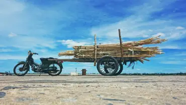 Motor bike carrying a load of woods