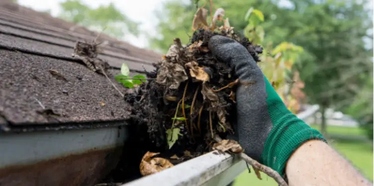 Gutter cleaning services being rendered by handyman