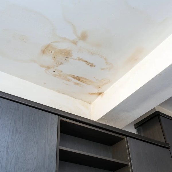 A ceiling with prominent brown water stains and discoloration near the junction of the ceiling and wall.