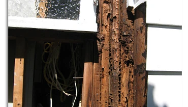 Rotten wood by a window.