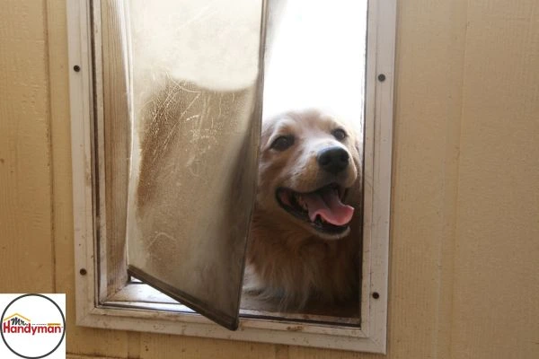 Dog using weatherproof pet door installed by Mr. Handyman of Northern St Joseph and Elkhart Counties